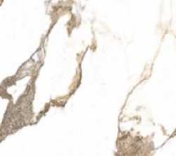 Керамогранит PRO 1127G Aura Oro 600x600