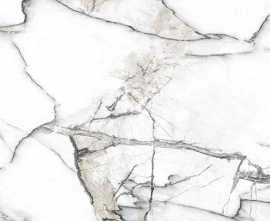 Керамогранит Premiere White Ep 60x120