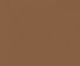 Керамогранит Vodevil Marron 20x20 g.154