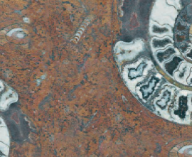Керамогранит FM3366 Fossil Mix 33х66