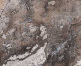Керамогранит Paradise Quarry Brown Polished Rec. 60x120