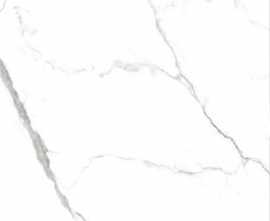 Керамогранит STATUARIO GRIS Glossy 60x120