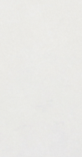 Керамогранит 80173 White Antslip 25х50