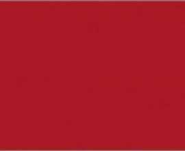 Керамогранит 80145 Red 25х50