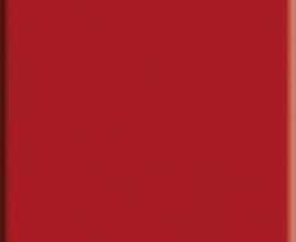 Керамогранит 80125 Red 12x24,5