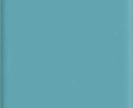 Керамогранит 80122.3 Turquoise 12x24,5