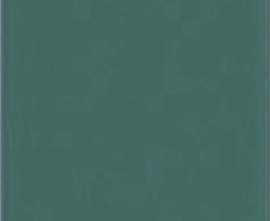 Керамогранит 80122.1 Dark Green 12x24,5