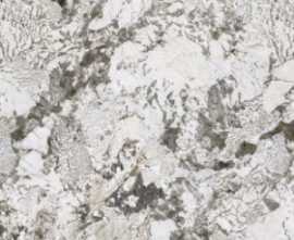 Керамогранит MN291AP321606 Pulm Blossom Polished 6mm 160x320
