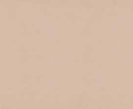 Керамогранит C15012 Microcement розовый 75x150